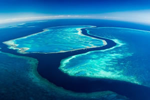 great barrier reef in danger by climate change